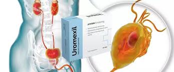 Uromexil Forte - in Hersteller-Website - kaufen - in Apotheke - bei DM - in Deutschland